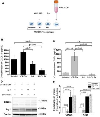 Mannose-functionalization of reconstituted high-density lipoprotein nanoparticles improves payload delivery and enhances M2-to-M1 phenotype reprogramming of RAW 264.7 macrophages polarized by B16-F10 melanoma cells